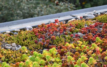 the cost of South Bramwith green roof installation