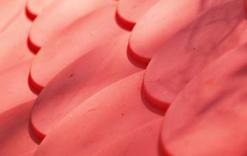 South Bramwith plastic roof costs